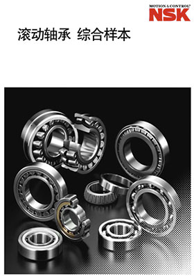 NSK�L��(d��ng)�S�� �C�Ϙӱ�